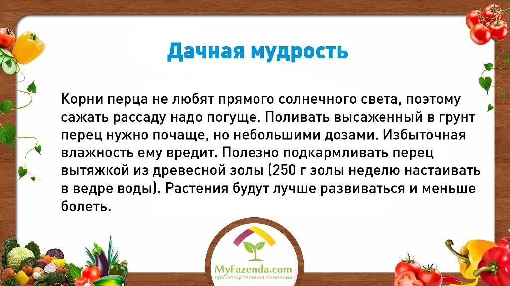 Дачные советы. Советы для огородников и садоводов. Советы огородникам. Сад и огород полезные советы. Интересные советы огородникам.