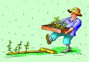 Земля не должна пустовать, чтобы не пришлось бороться с сорняками