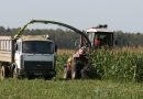 Страда в разгаре. Оперативная сводка полевых работ в области