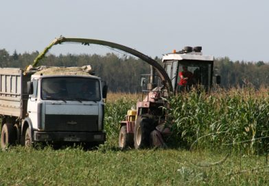 Страда в разгаре. Оперативная сводка полевых работ в области