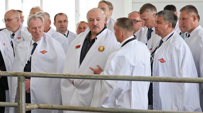 Дисциплина — вопрос номер один