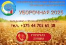Горячая линия!