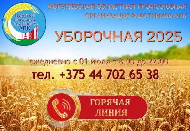 Горячая линия!