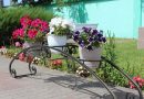 Глусский цветущий край