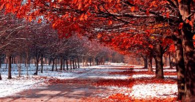 Распахнул зиме ворота ноябрь