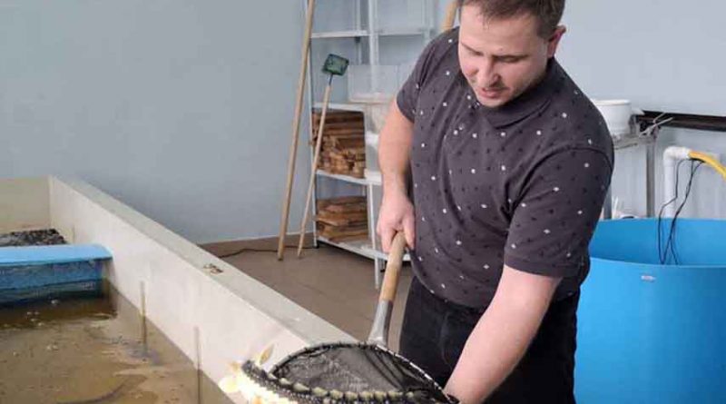 Ценная рыба. Курс на укрепление рыбоводческого потенциала