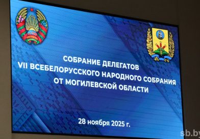 Делегаты ВНС от Могилевской области обсудили приоритеты развития Беларуси на будущую пятилетку