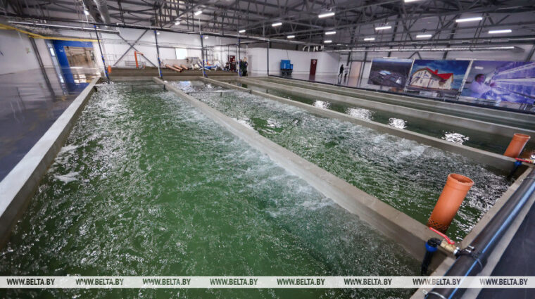 Лукашенко совершает рабочую поездку в Могилевскую область