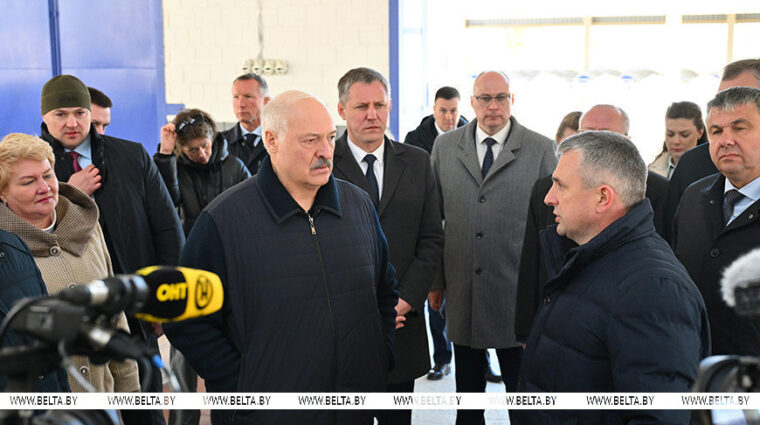Сельское хозяйство и «кондитерка». Лукашенко приехал в Наровлянский район