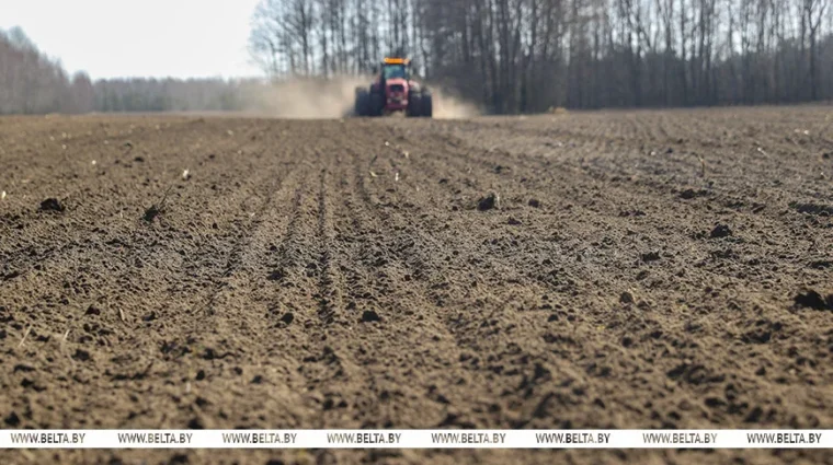 Лукашенко доложили о ходе весенних полевых работ в Беларуси