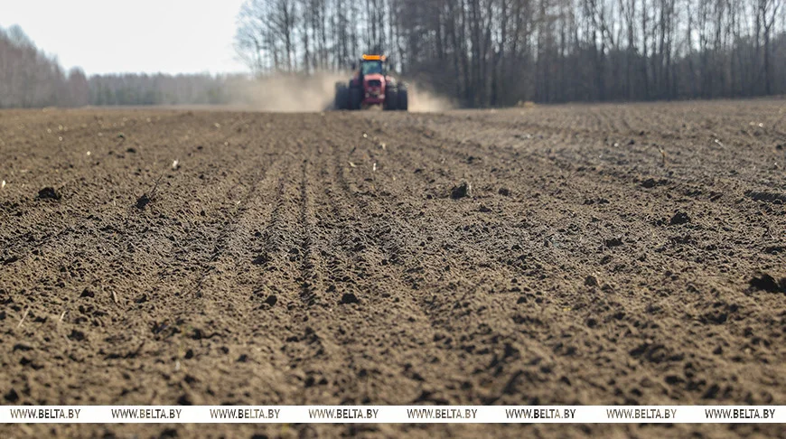 Лукашенко доложили о ходе весенних полевых работ в Беларуси