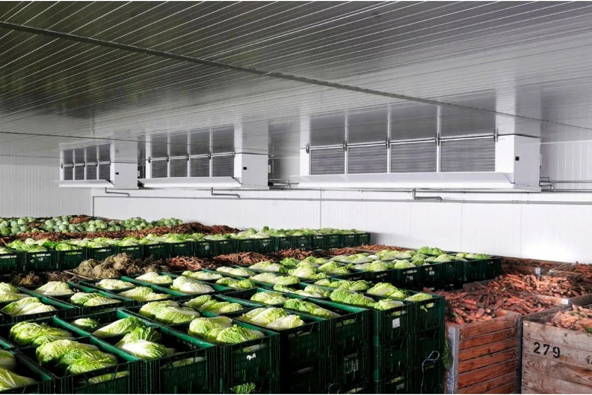 Установлены объемы поставок плодоовощной продукции из стабфондов для республиканских нужд 2026/2027