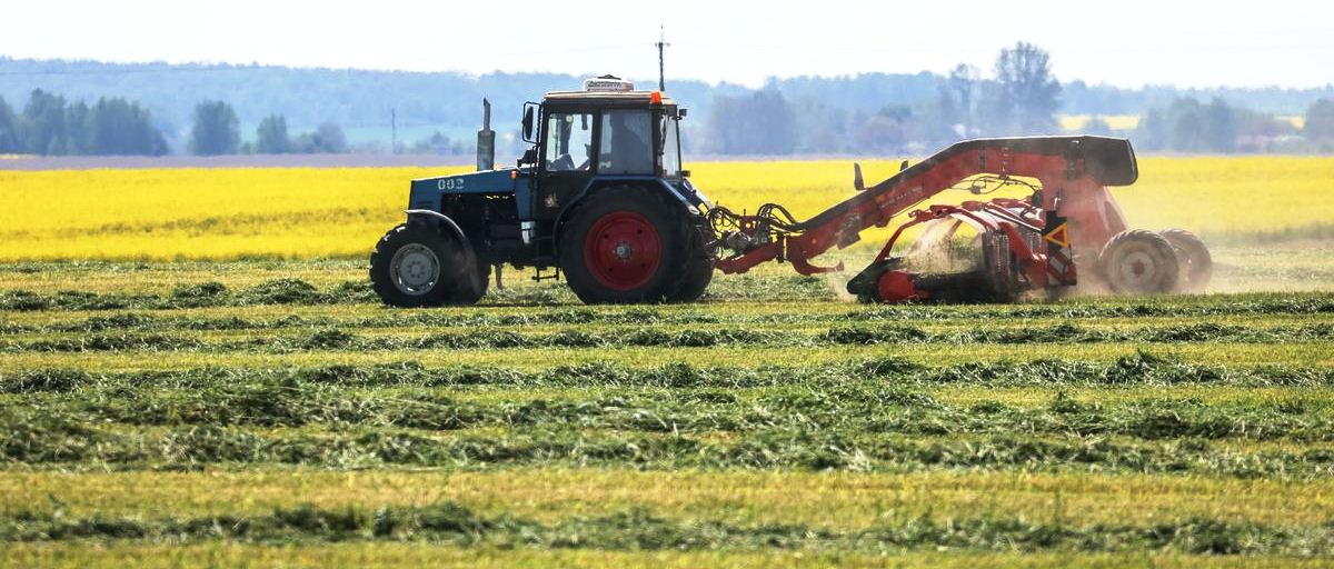 Первый укос трав: в области стартовала кампания по заготовке кормов