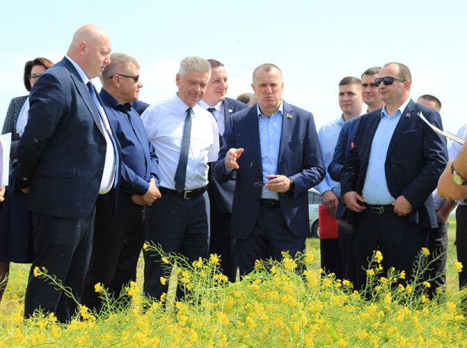 Старт кормозаготовки. Семинар по кормозаготовке прошёл в Быховском районе