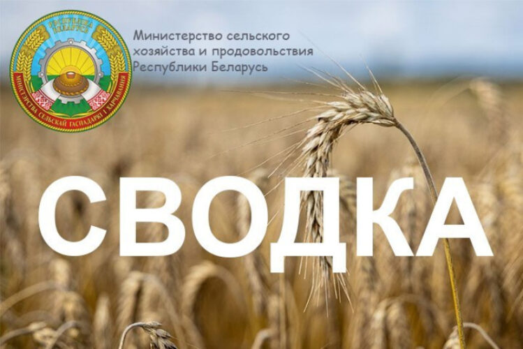О ходе сельхозработ на 17 августа 2026 года