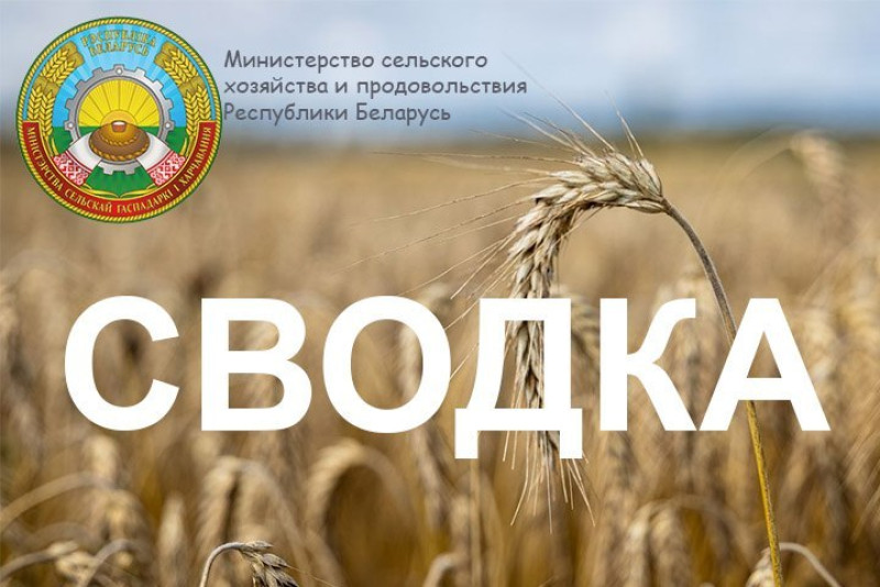 О ходе сельхозработ на 17 августа 2026 года