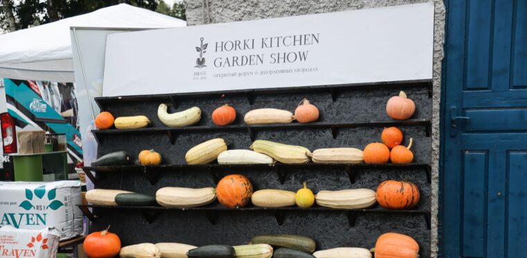 Horki Kitchen Garden Show: как в ботаническом саду БГСХА соединили огород и искусство