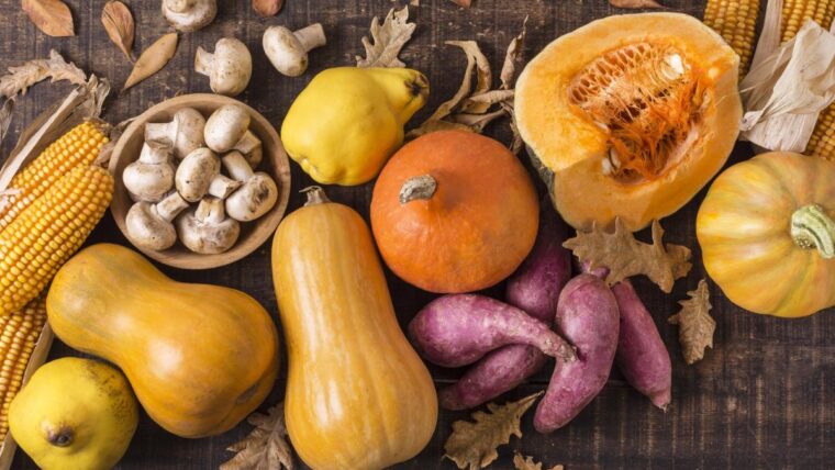 Могилевская ярмарка: актуальные цены на сезонные продукты