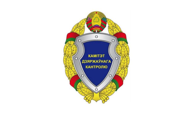 Более 200 неучтенных домов: Комитет госконтроля указал на недостатки в работе исполкомов Могилевской области